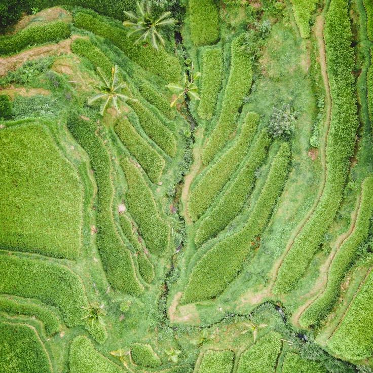 Entertainment zone at night in Canada
